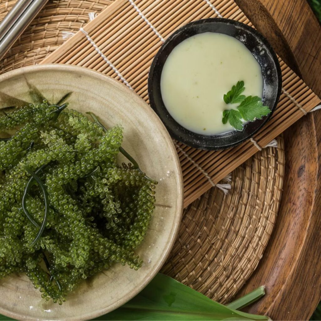 Rong nho và sốt